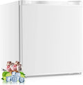 Gefrierschrank, 32 L, FOHERE, Gefrierfach, Tiefkühlschrank, Weiß, FOHERE Gefrierschrank Klein -22°C 32L Mini Wendbarer Tür