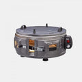 Elektrischer Pizzaofen AF022, tragbar, Silber, AKEL Elektrischer runder Ofen AF022 Mini-Backofen