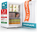Gefrierschrank 4-Sterne, 42 L, Gefrierfach, Camping, Tiefkühlschrank, Weiß, Türanschlag wechselbar, -18°C, Stillstern Mini Gefrierschrank, 42L